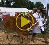 Watch Dalston Show 2011 Video