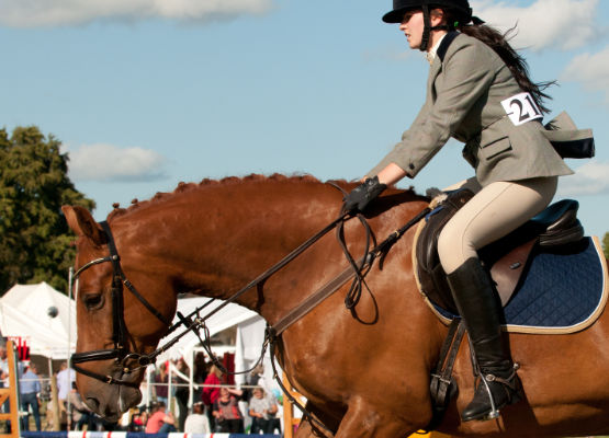 Photo of the a horse jumping at the Dalston Show