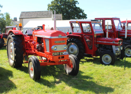 Photo of some vintage tractors at the Dalston Show