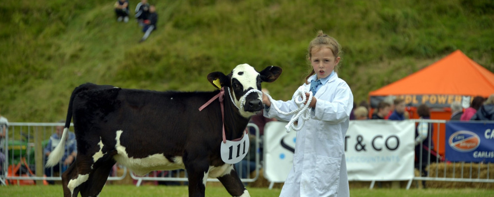 Child with calf