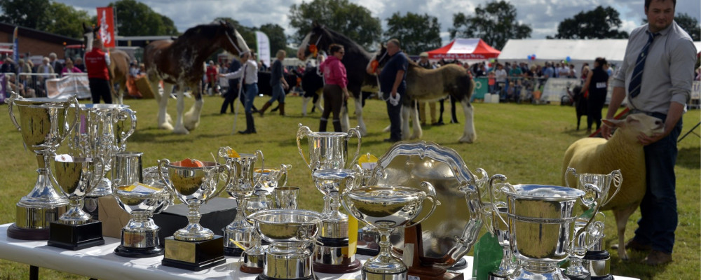 Awards and Trophies